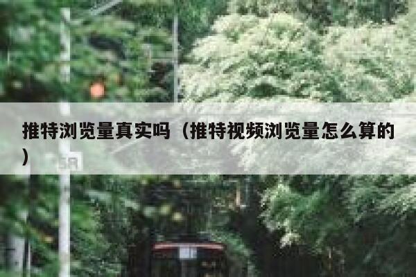 推特浏览量真实吗（推特视频浏览量怎么算的） 第1张