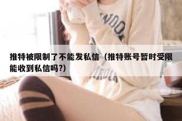 推特被限制了不能发私信（推特账号暂时受限能收到私信吗?） 第1张