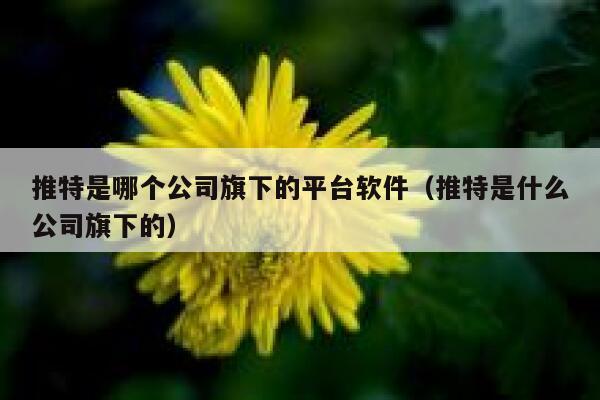 推特是哪个公司旗下的平台软件（推特是什么公司旗下的） 第1张