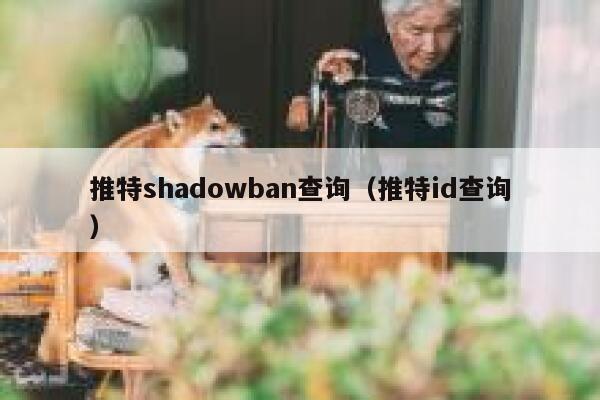 推特shadowban查询（推特id查询） 第1张