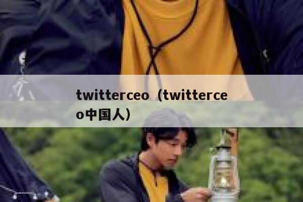 twitterceo（twitterceo中国人） 第1张