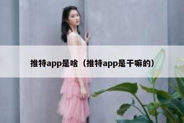 推特app是啥（推特app是干嘛的） 第1张