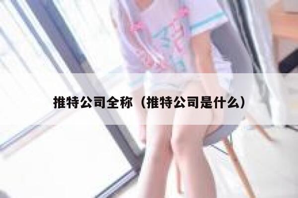 推特公司全称(推特公司是什么) 第1张 推特公司全称(推特公司是什么) 第1张