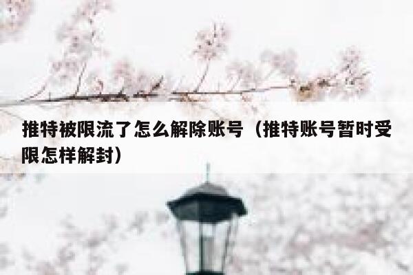 推特被限流了怎么解除账号(推特账号暂时受限怎样解封) 第1张 推特被限流了怎么解除账号(推特账号暂时受限怎样解封) 第1张