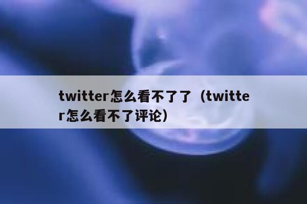 twitter怎么看不了了(twitter怎么看不了评论) 第1张 twitter怎么看不了了(twitter怎么看不了评论) 第1张