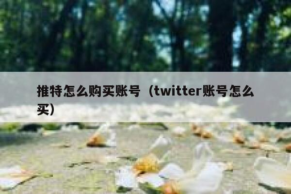 推特怎么购买账号(twitter账号怎么买) 第1张 推特怎么购买账号(twitter账号怎么买) 第1张