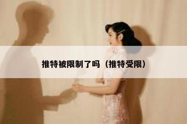 推特被限制了吗(推特受限) 第1张 推特被限制了吗(推特受限) 第1张
