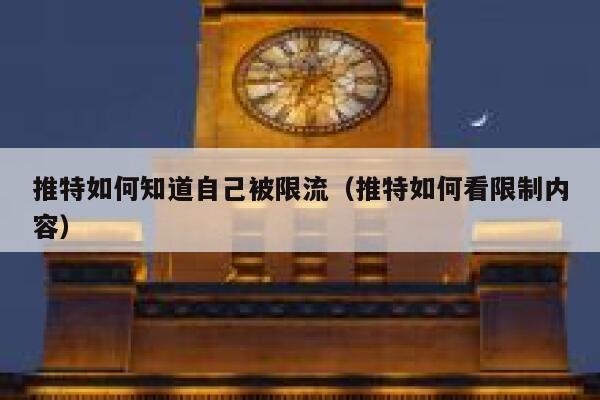 推特如何知道自己被限流（推特如何看限制内容） 第1张