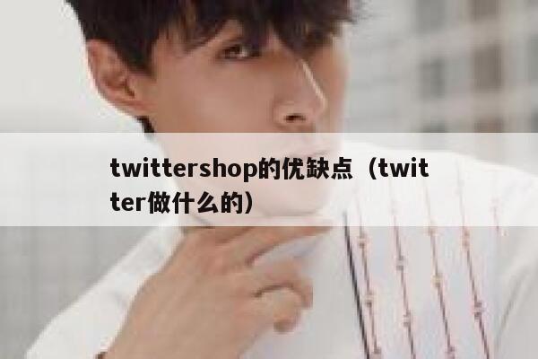 twittershop的优缺点(twitter做什么的) 第1张 twittershop的优缺点(twitter做什么的) 第1张