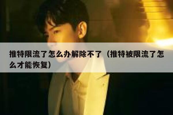 推特限流了怎么办解除不了（推特被限流了怎么才能恢复） 第1张