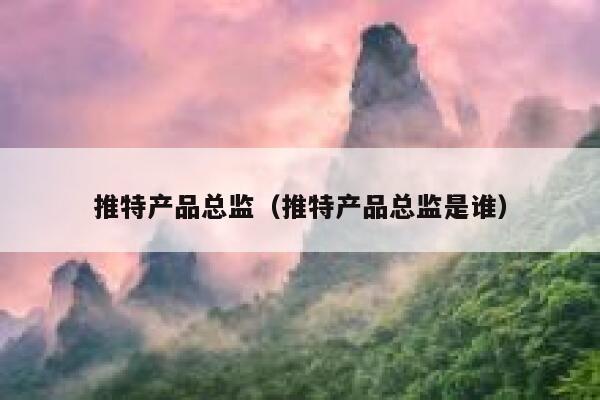 推特产品总监(推特产品总监是谁) 第1张 推特产品总监(推特产品总监是谁) 第1张