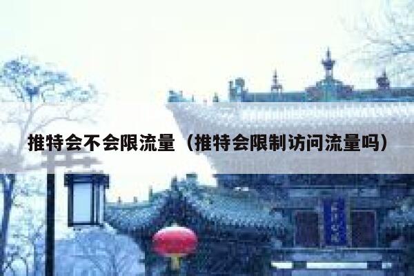 推特会不会限流量（推特会限制访问流量吗） 第1张