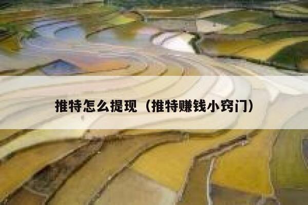 推特怎么提现（推特赚钱小窍门） 第1张