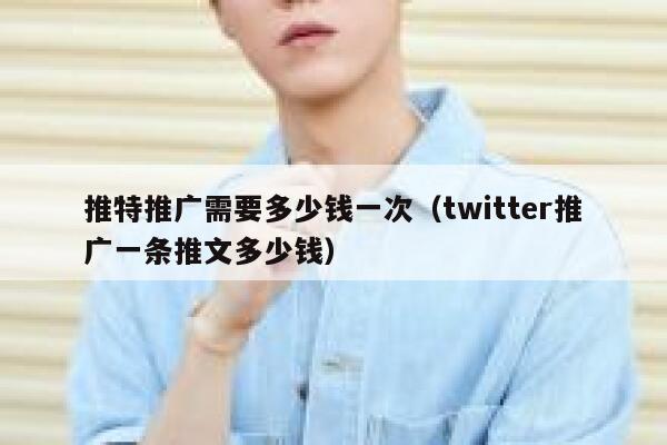 推特推广需要多少钱一次（twitter推广一条推文多少钱） 第1张