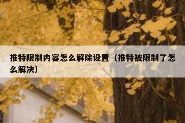 推特限制内容怎么解除设置（推特被限制了怎么解决） 第1张