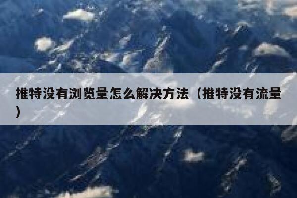 推特没有浏览量怎么解决方法（推特没有流量） 第1张