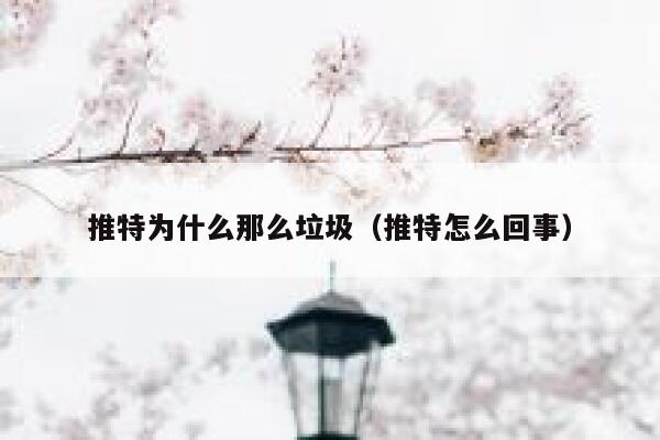 推特为什么那么垃圾（推特怎么回事） 第1张