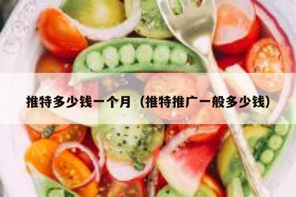 推特多少钱一个月（推特推广一般多少钱） 第1张