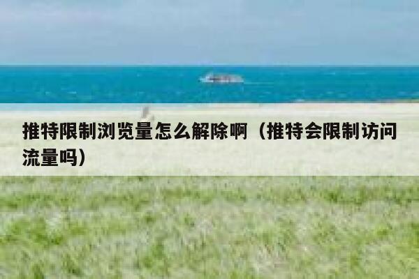 推特限制浏览量怎么解除啊（推特会限制访问流量吗） 第1张