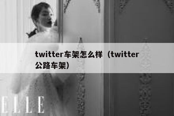 twitter车架怎么样（twitter公路车架） 第1张