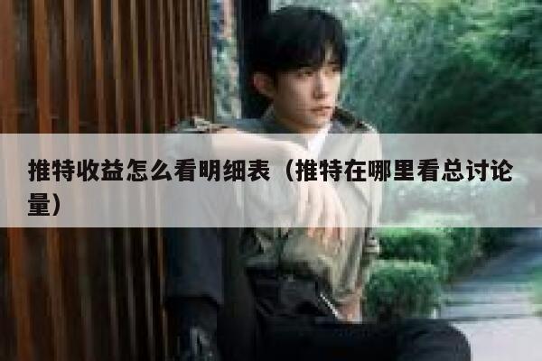 推特收益怎么看明细表（推特在哪里看总讨论量） 第1张