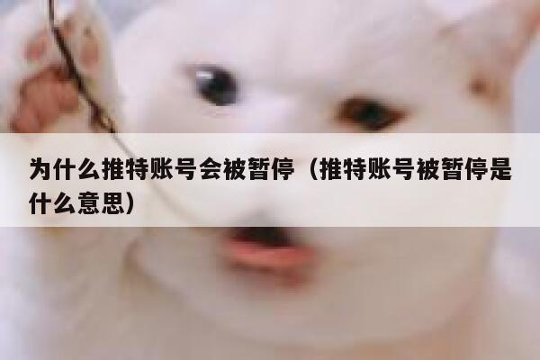 为什么推特账号会被暂停（推特账号被暂停是什么意思） 第1张