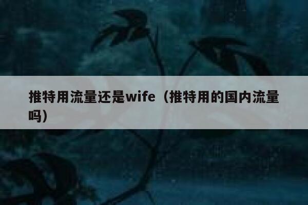 推特用流量还是wife（推特用的国内流量吗） 第1张
