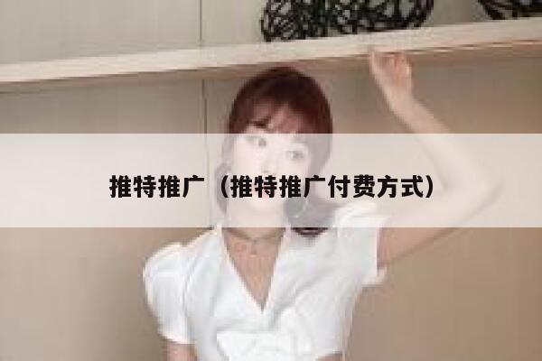 推特推广（推特推广付费方式） 第1张