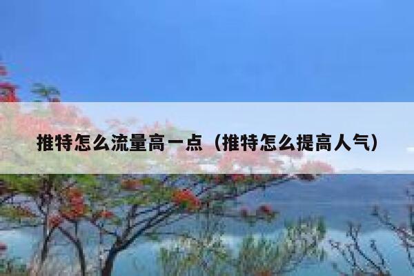 推特怎么流量高一点（推特怎么提高人气） 第1张