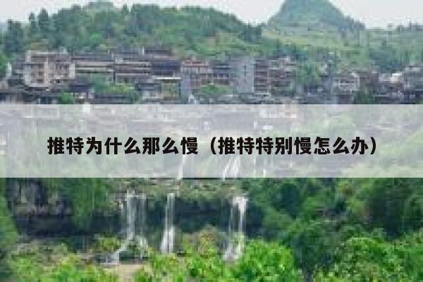 推特为什么那么慢（推特特别慢怎么办） 第1张