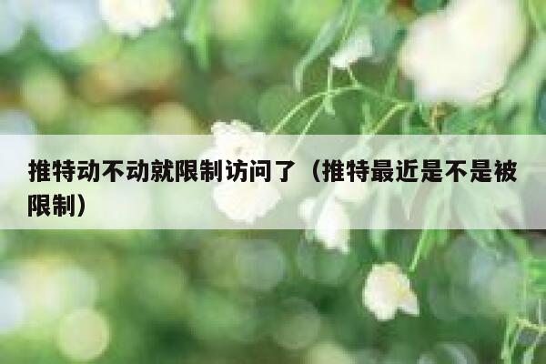 推特动不动就限制访问了（推特最近是不是被限制） 第1张