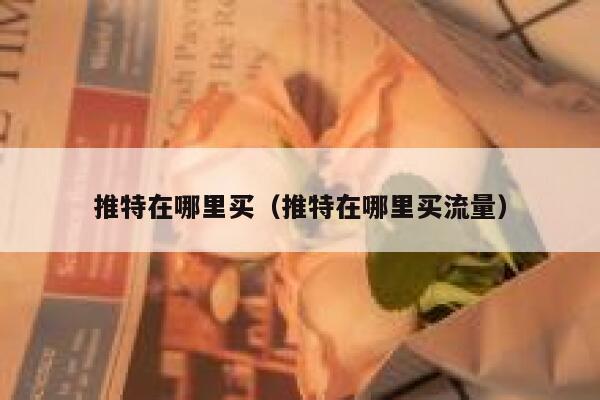 推特在哪里买（推特在哪里买流量） 第1张