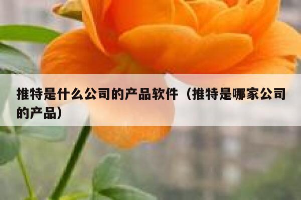 推特是什么公司的产品软件（推特是哪家公司的产品） 第1张