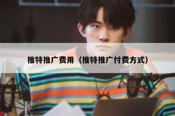 推特推广费用（推特推广付费方式） 第1张