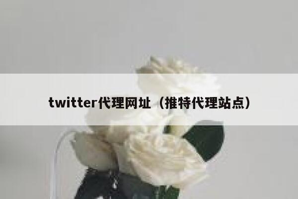 twitter代理网址（推特代理站点） 第1张