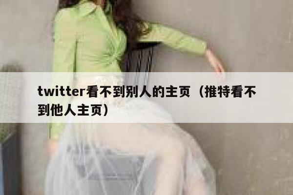 twitter看不到别人的主页（推特看不到他人主页） 第1张