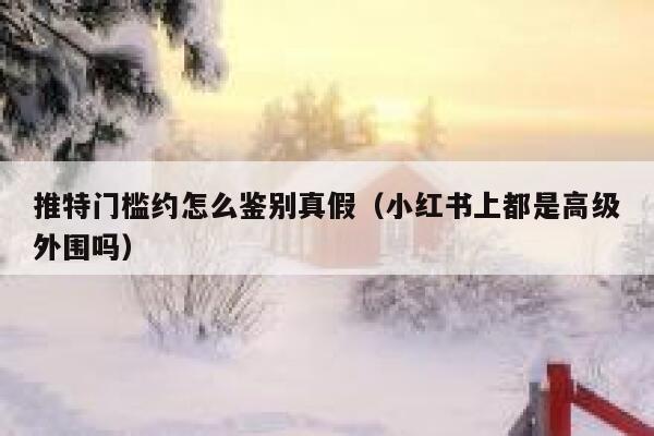 推特门槛约怎么鉴别真假（小红书上都是高级外围吗） 第1张
