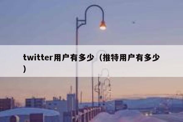 twitter用户有多少（推特用户有多少） 第1张