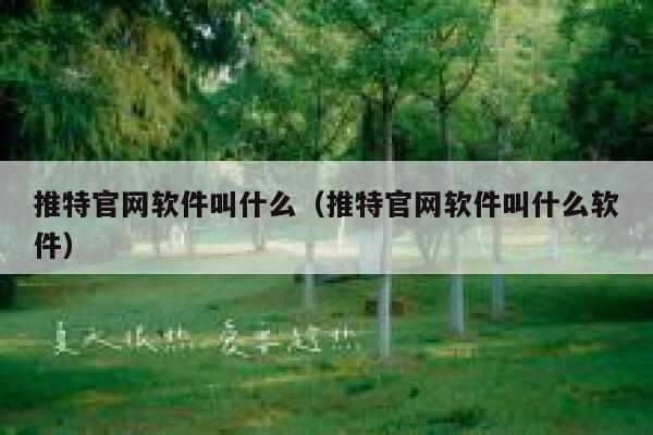 推特官网软件叫什么（推特官网软件叫什么软件） 第1张