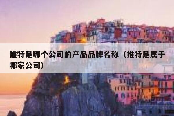 推特是哪个公司的产品品牌名称（推特是属于哪家公司） 第1张