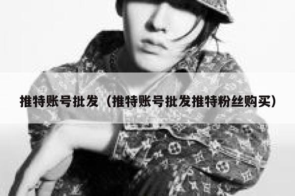 推特账号批发（推特账号批发推特粉丝购买） 第1张