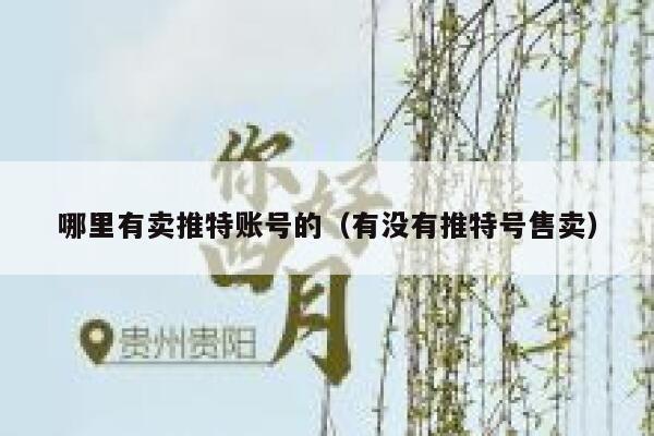 哪里有卖推特账号的(有没有推特号售卖) 第1张 哪里有卖推特账号的(有没有推特号售卖) 第1张