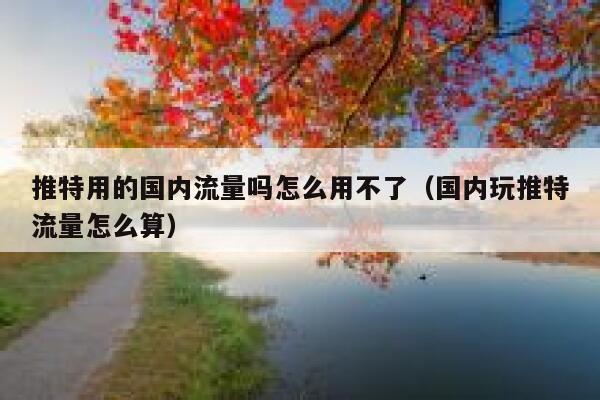 推特用的国内流量吗怎么用不了（国内玩推特流量怎么算） 第1张