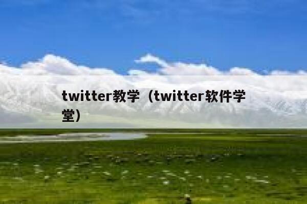 twitter教学（twitter软件学堂） 第1张