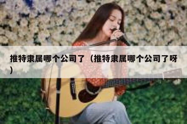 推特隶属哪个公司了（推特隶属哪个公司了呀） 第1张