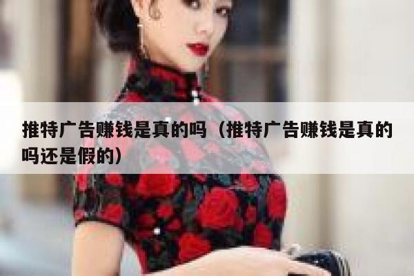 推特广告赚钱是真的吗（推特广告赚钱是真的吗还是假的） 第1张