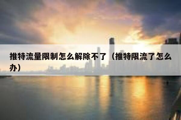 推特流量限制怎么解除不了（推特限流了怎么办） 第1张