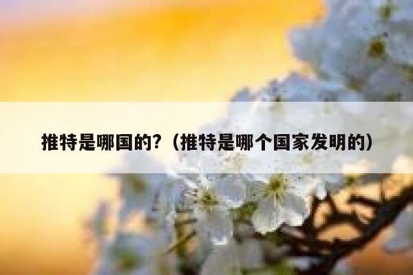 推特是哪国的?（推特是哪个国家发明的） 第1张