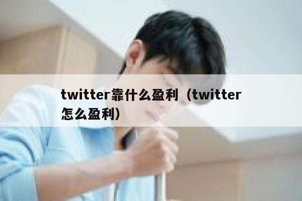 twitter靠什么盈利（twitter怎么盈利） 第1张