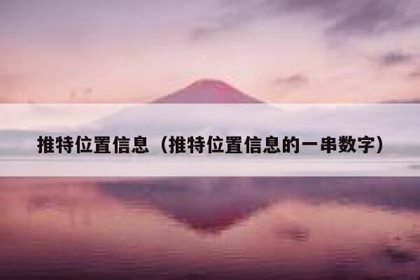 推特位置信息（推特位置信息的一串数字） 第1张